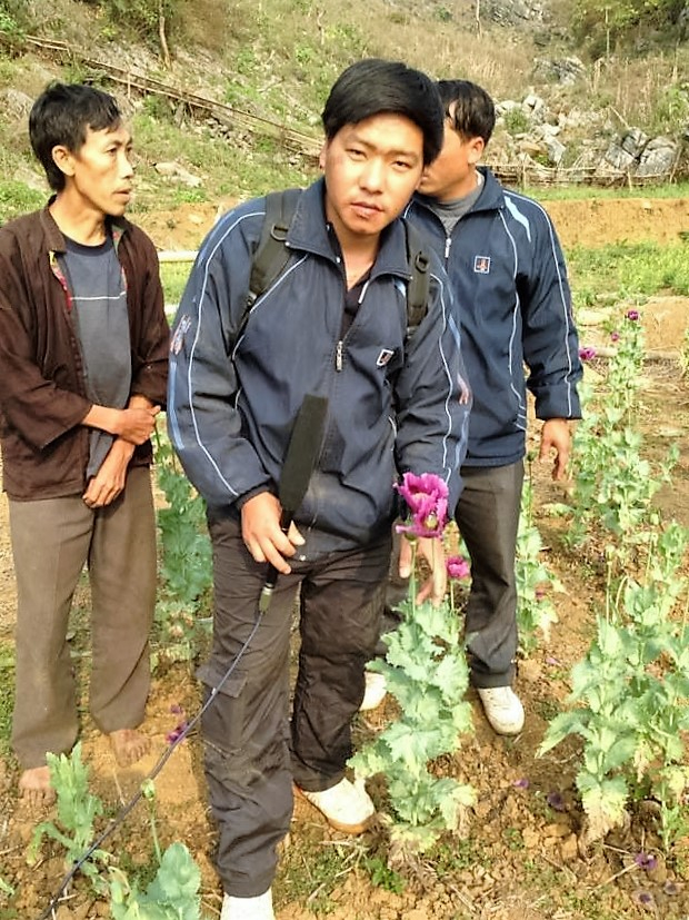 PV Anh Thu tác nghiệp tại hiện trường phá nhổ cây thuốc phiện