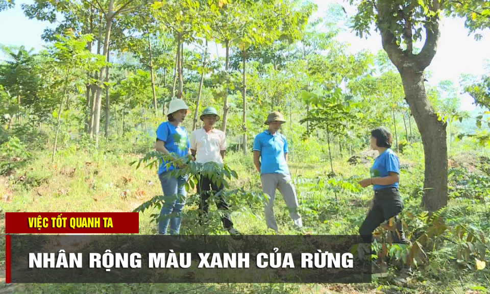 Nh&acirc;n rộng m&agrave;u xanh của rừng