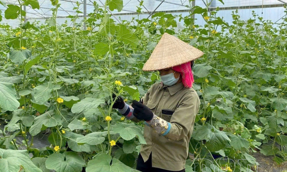 Khoa học c&ocirc;ng nghệ th&uacute;c đẩy ph&aacute;t triển n&ocirc;ng nghiệp tuần ho&agrave;n