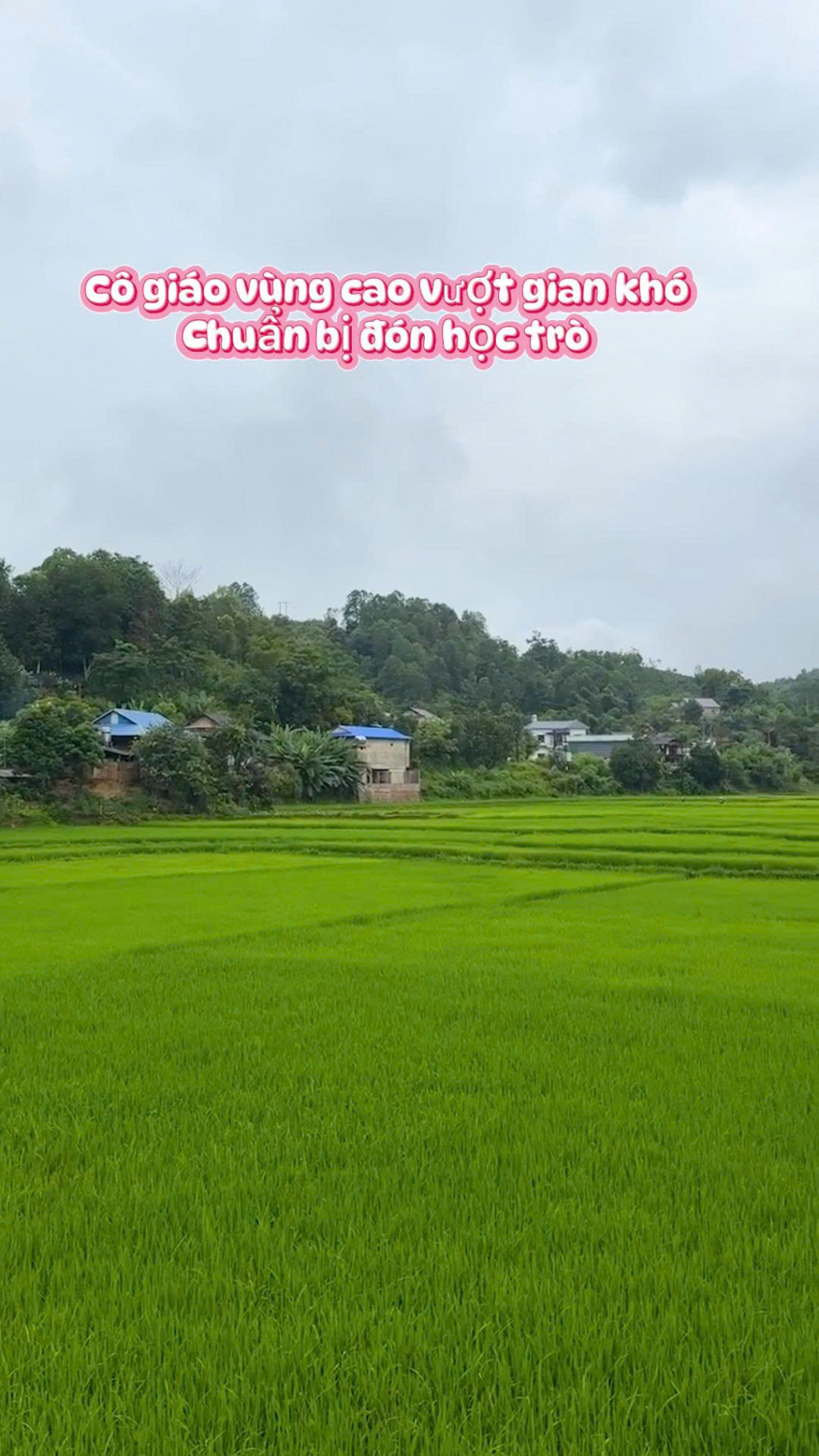 C&ocirc; gi&aacute;o v&ugrave;ng cao đ&oacute;n học tr&ograve; trở lại lớp