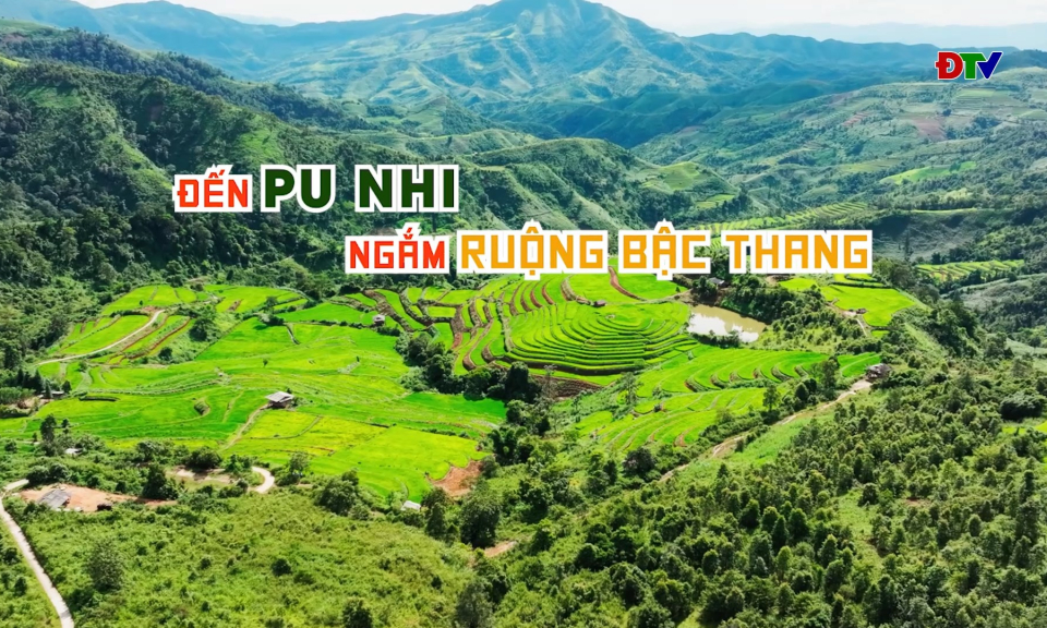 Đến Pu Nhi ngắm ruộng bậc thang