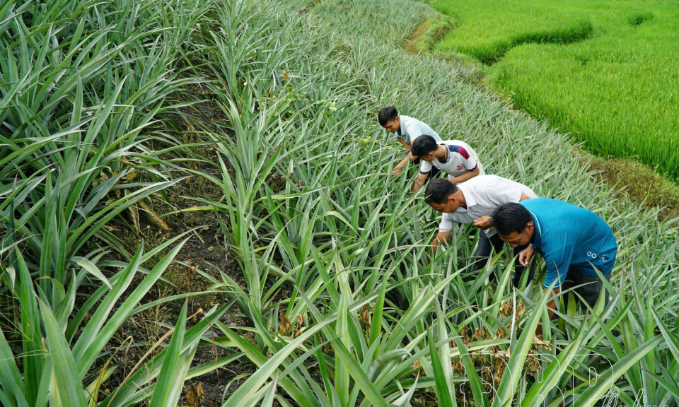 Tỏa s&aacute;ng phong tr&agrave;o học v&agrave; l&agrave;m theo B&aacute;c