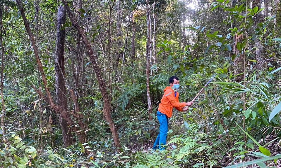 Th&aacute;o gỡ kh&oacute; khăn, đẩy nhanh tiến độ chi trả dịch vụ m&ocirc;i trường rừng