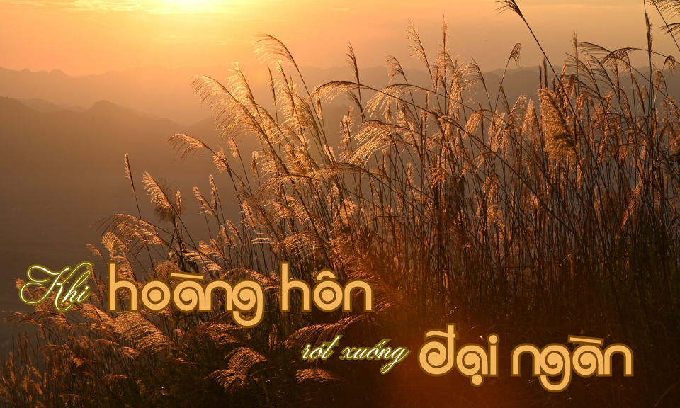 Khi ho&agrave;ng h&ocirc;n r&oacute;t xuống đại ng&agrave;n