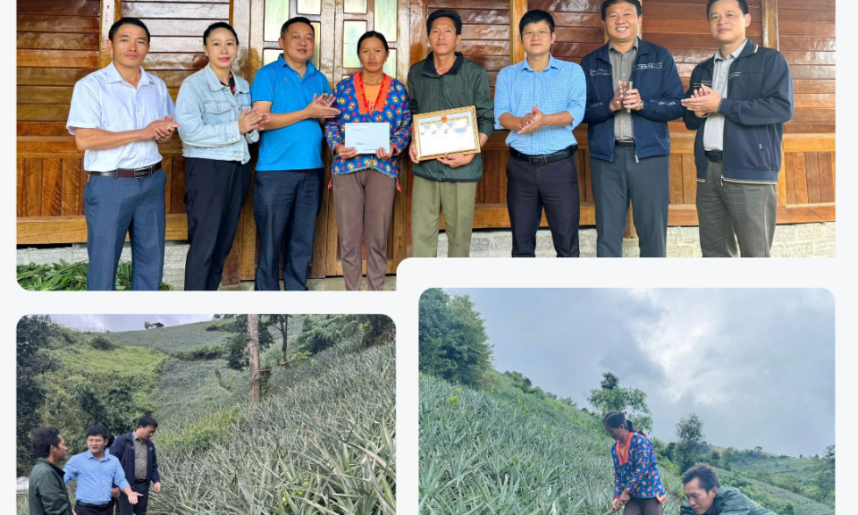 Điểm tựa của phong tr&agrave;o n&ocirc;ng th&ocirc;n mới