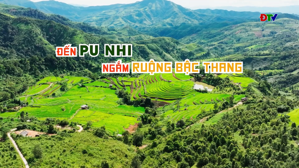 Đến Pu Nhi ngắm ruộng bậc thang