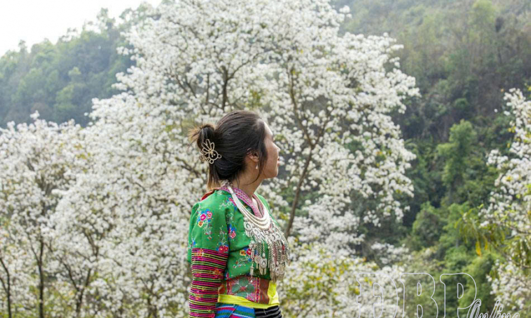 Giữ rừng từ cơ sở