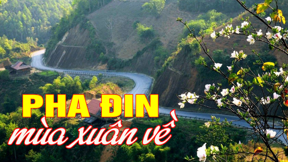Pha Đin m&ugrave;a xu&acirc;n về