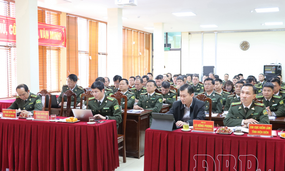 Tăng cường phối hợp quản l&yacute;, bảo vệ rừng v&ugrave;ng gi&aacute;p ranh 3 tỉnh: Điện Bi&ecirc;n, Sơn La v&agrave; Lai Ch&acirc;u