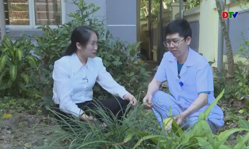 C&acirc;y Mạch M&ocirc;n &ndash; vị thuốc trị ho