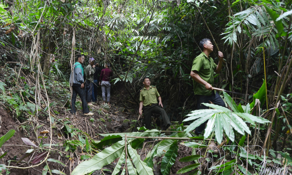Giữ rừng từ cơ sở
