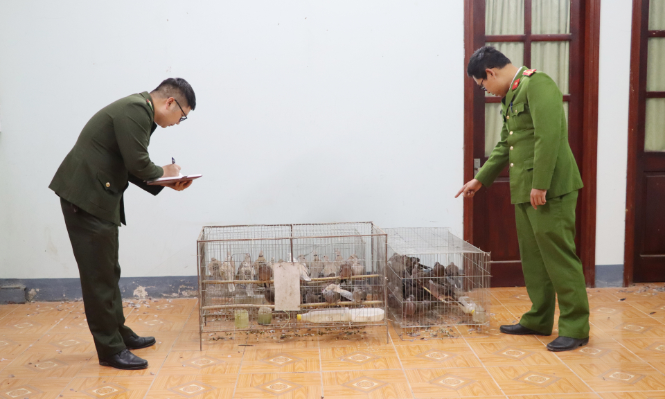 Bị phạt h&agrave;nh ch&iacute;nh 7,5 triệu đồng v&igrave; nu&ocirc;i nhốt chim hoang d&atilde; tr&aacute;i ph&eacute;p