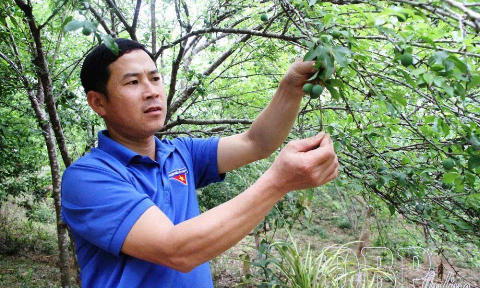 Sức trẻ khởi nghiệp s&aacute;ng tạo