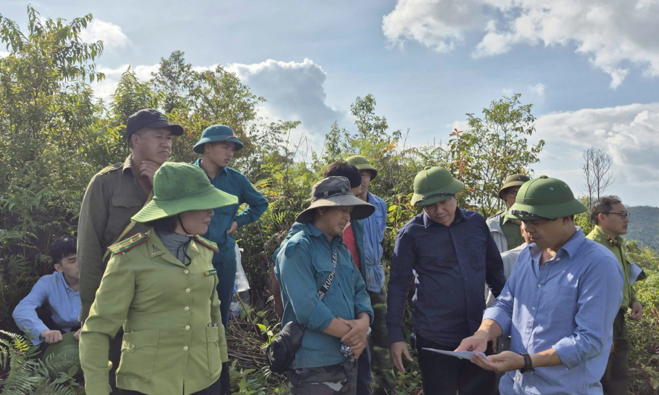 M&ugrave;a canh lửa, giữ rừng