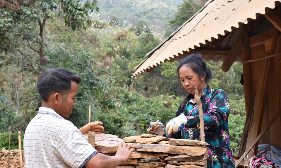 Chủ thể n&ocirc;ng th&ocirc;n mới