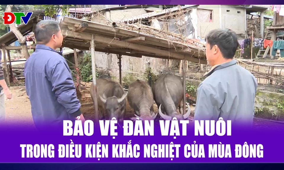 Bảo vệ đ&agrave;n vật nu&ocirc;i trong m&ugrave;a đ&ocirc;ng