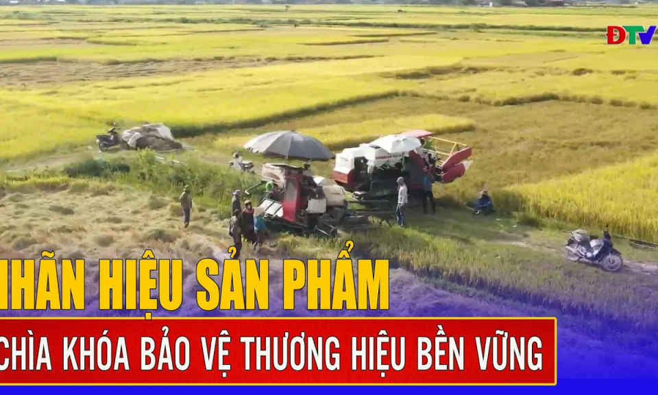 Nh&atilde;n hiệu sản phẩm &ndash; Ch&igrave;a kh&oacute;a bảo vệ thương hiệu bền vững