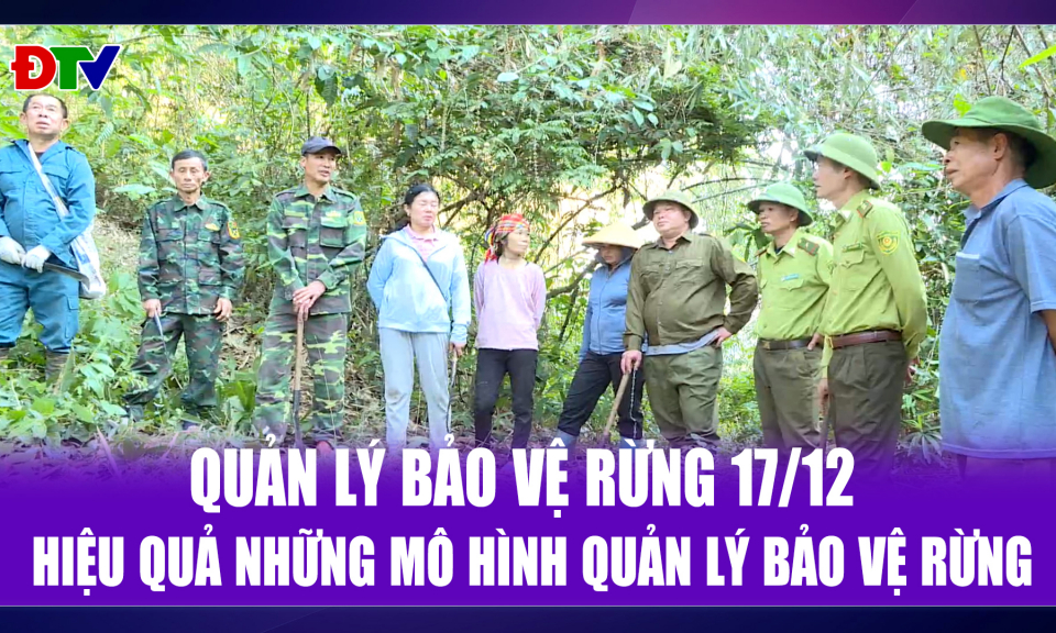 Hiệu quả những m&ocirc; h&igrave;nh quản l&yacute; bảo vệ rừng