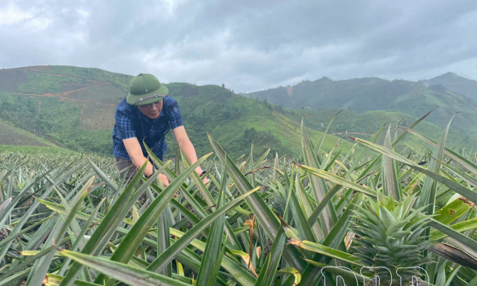 Đưa nghị quyết đảng bộ x&atilde; v&agrave;o cuộc sống