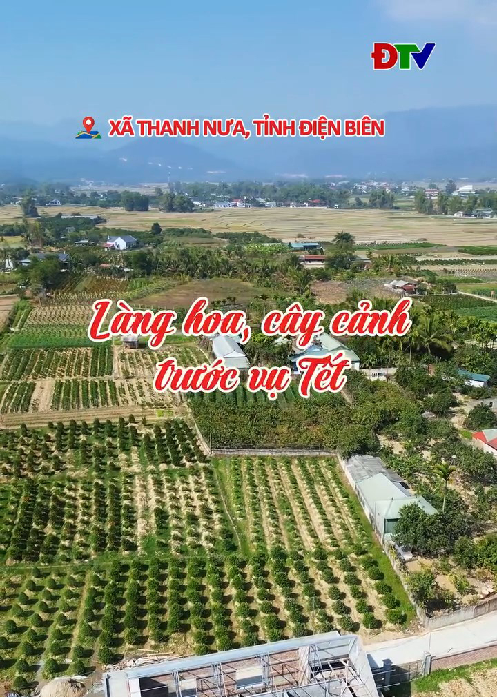 L&agrave;ng hoa, c&acirc;y cảnh trước vụ Tết