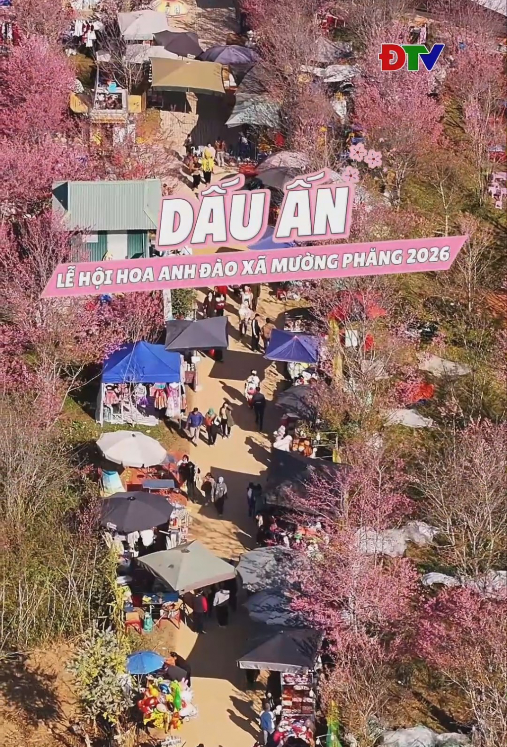 Dấu ấn Lễ hội Hoa anh đ&agrave;o x&atilde; Mường Phăng 2026