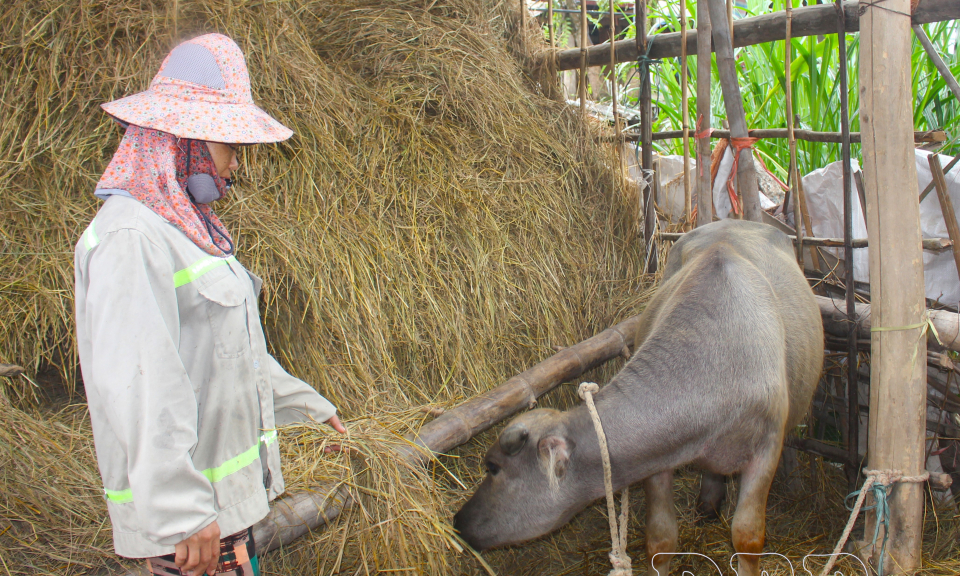 Nguồn vốn ch&iacute;nh s&aacute;ch ph&aacute;t huy hiệu quả