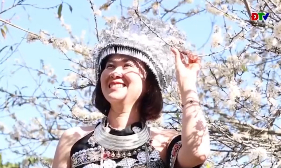 Hoa mận trắng gọi m&ugrave;a xu&acirc;n về
