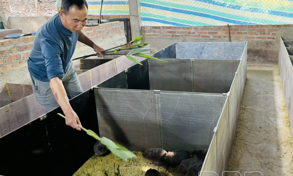 Lan tỏa học v&agrave; l&agrave;m theo B&aacute;c