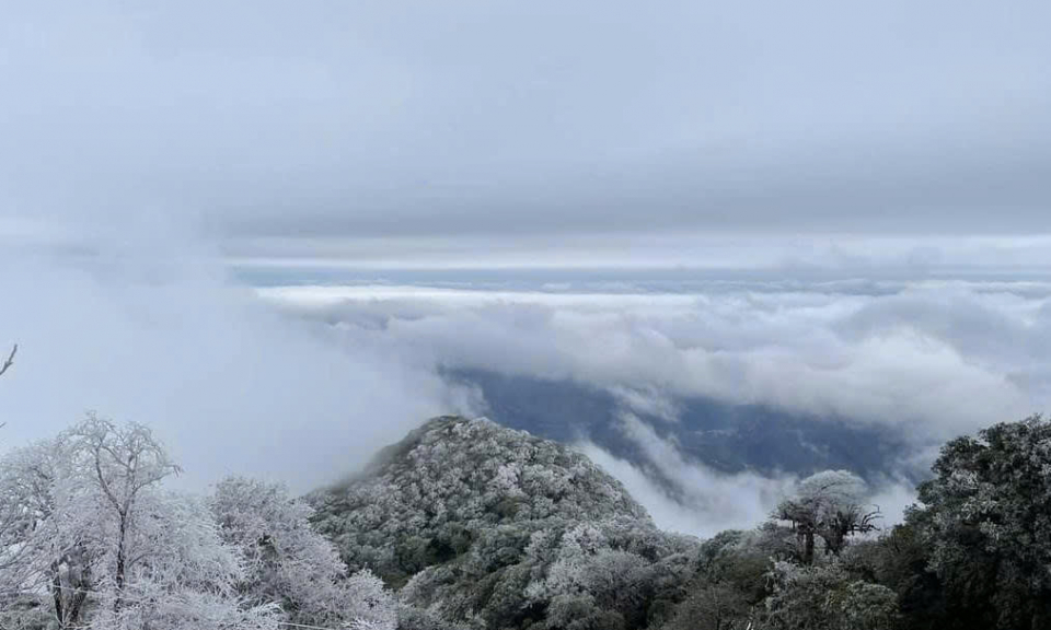 Chủ động ứng ph&oacute; với r&eacute;t đậm, r&eacute;t hại