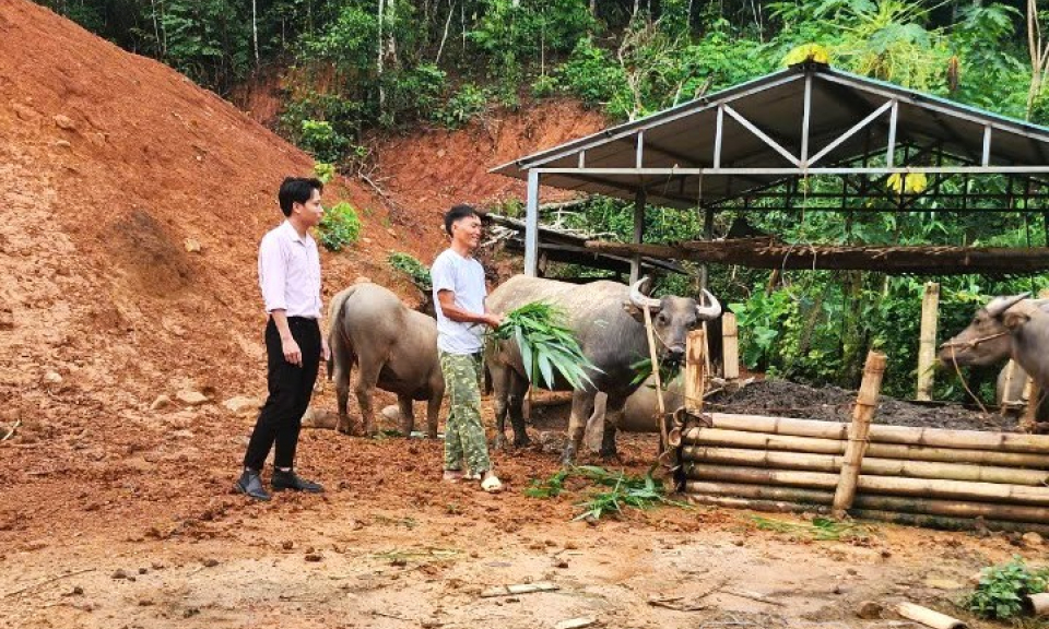 Tăng cường kiểm tra, gi&aacute;m s&aacute;t, ph&aacute;t huy hiệu quả nguồn vốn vay ưu đ&atilde;i 