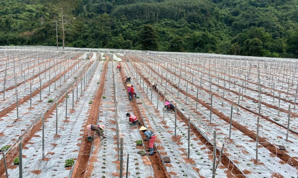 Phụ nữ g&oacute;p sức thay đổi diện mạo n&ocirc;ng th&ocirc;n