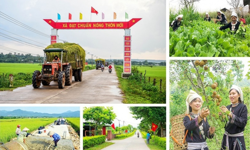 Ban h&agrave;nh Bộ ti&ecirc;u ch&iacute; quốc gia về n&ocirc;ng th&ocirc;n mới giai đoạn 2026-2030