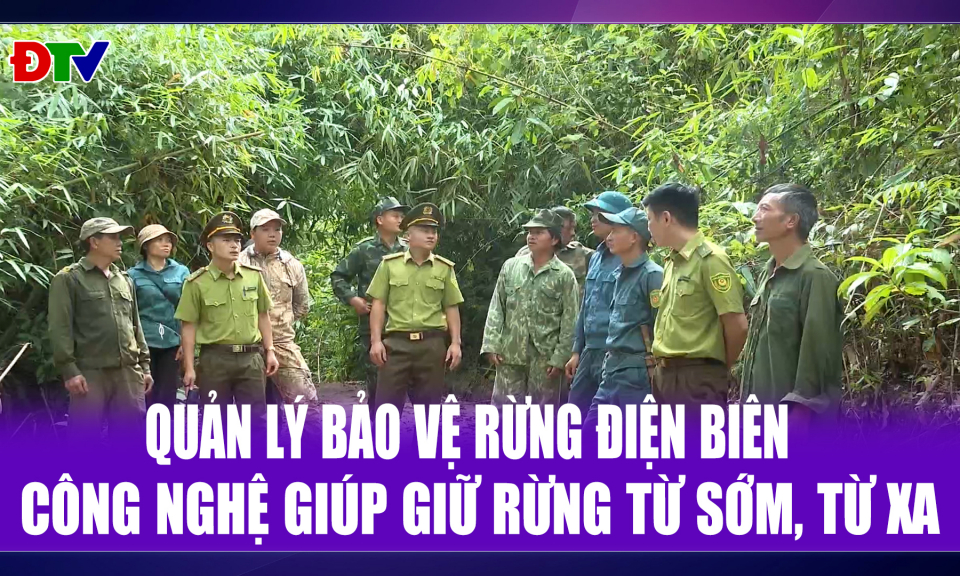 C&ocirc;ng nghệ gi&uacute;p giữ rừng từ sớm, từ xa