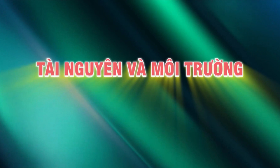 T&agrave;i nguy&ecirc;n v&agrave; M&ocirc;i trường (Ng&agrave;y 20-1-2026)