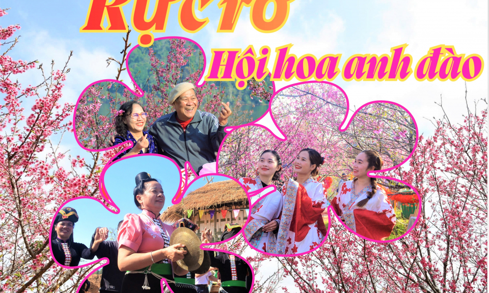 Rực rỡ hội hoa anh đ&agrave;o Mường Phăng