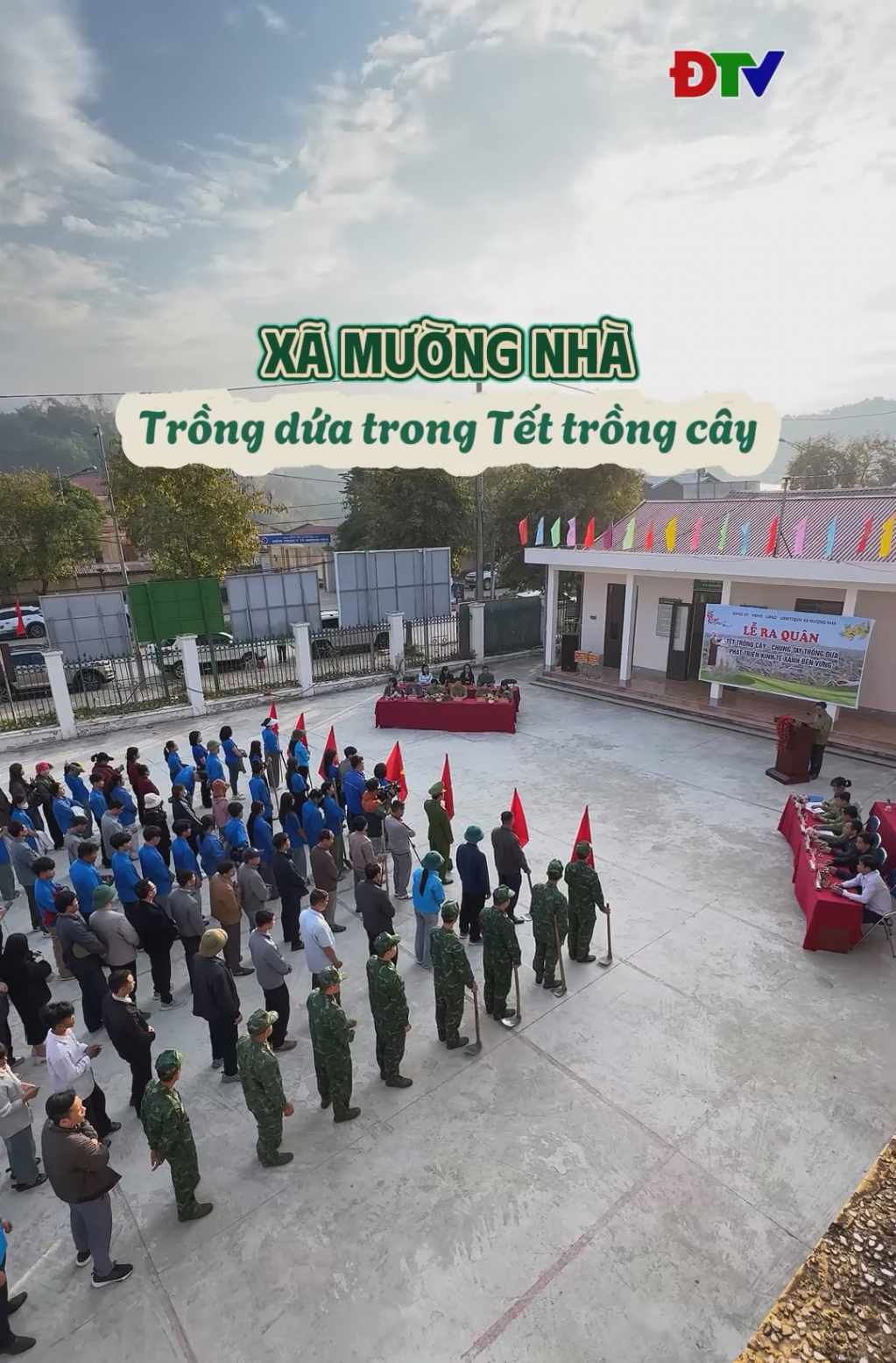 X&atilde; mường nh&agrave; trồng dứa trong Tết trồng c&acirc;y