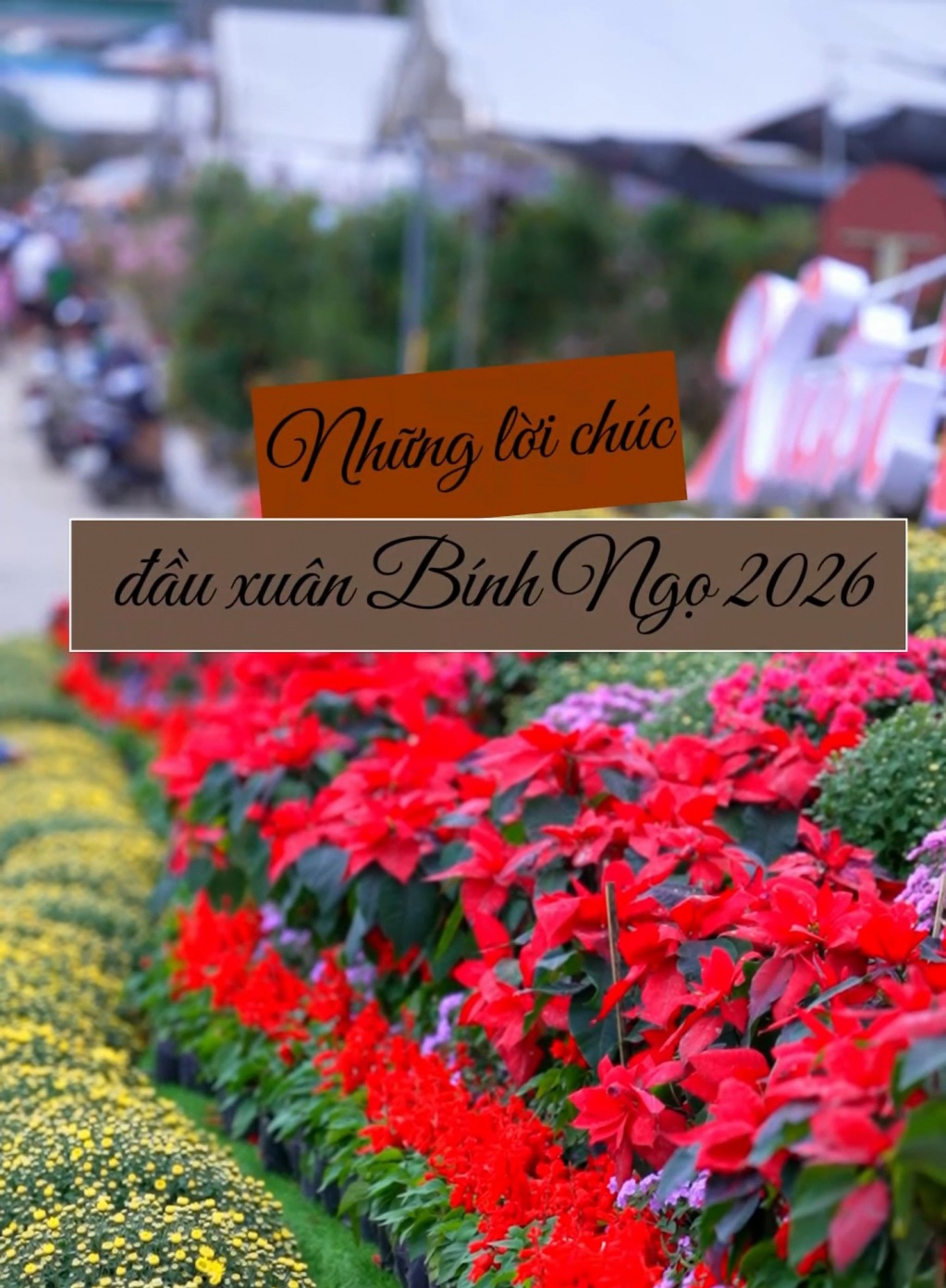 Những lời ch&uacute;c đầu xu&acirc;n