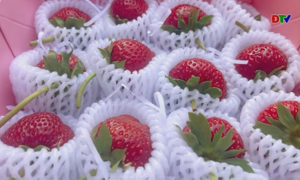 N&ocirc;ng nghiệp khoa học