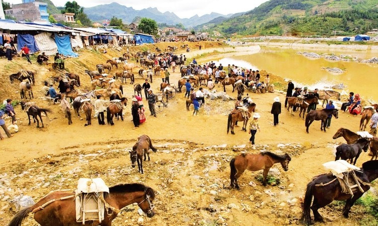 Du Xu&acirc;n, ngắm ngựa v&ugrave;ng cao