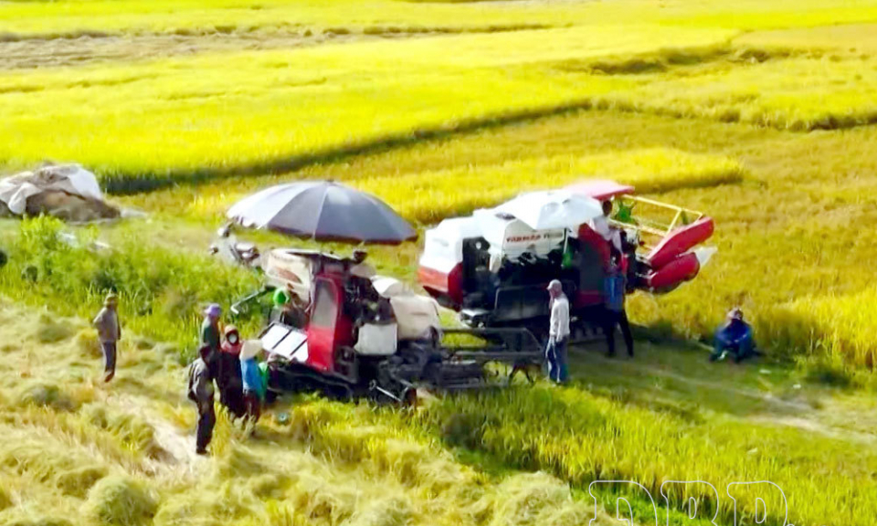 V&ugrave;ng đất tiềm năng v&agrave; cơ hội đầu tư