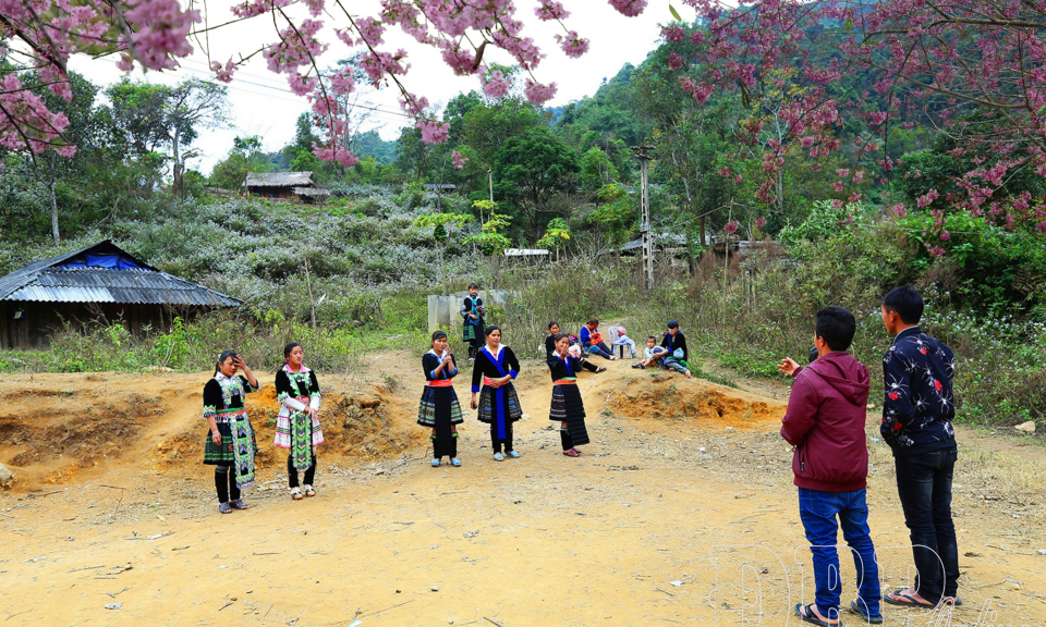 Pằng Tớ D&agrave;y gọi xu&acirc;n v&ugrave;ng cao