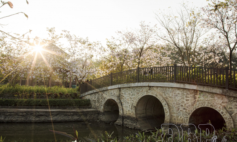 Ban sớm nơi phố n&uacute;i