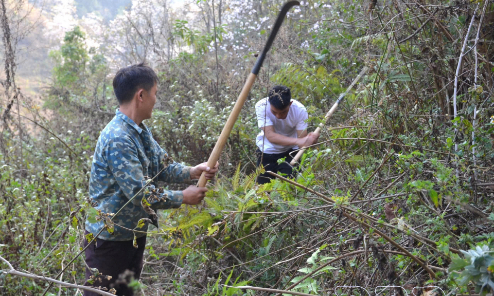 Gắn quyền lợi với tr&aacute;ch nhiệm bảo vệ rừng của người d&acirc;n
