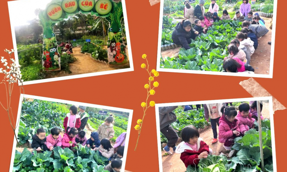 V&igrave; sức khỏe học sinh