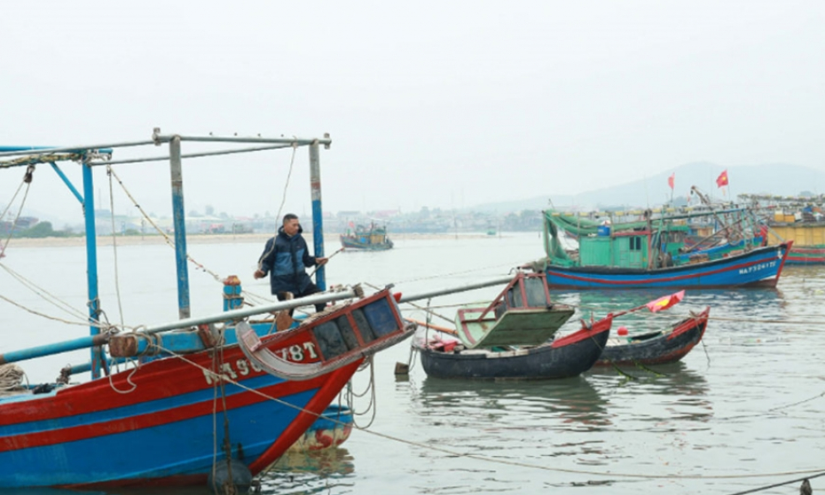 Ngư d&acirc;n T&acirc;n Mai ấm l&ograve;ng đ&oacute;n Tết