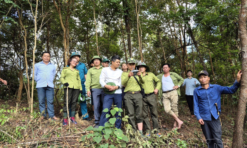 Gần d&acirc;n, s&aacute;t cơ sở để giữ rừng hiệu quả 