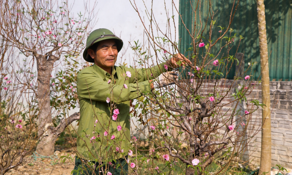 Cho thu&ecirc; m&ugrave;a xu&acirc;n