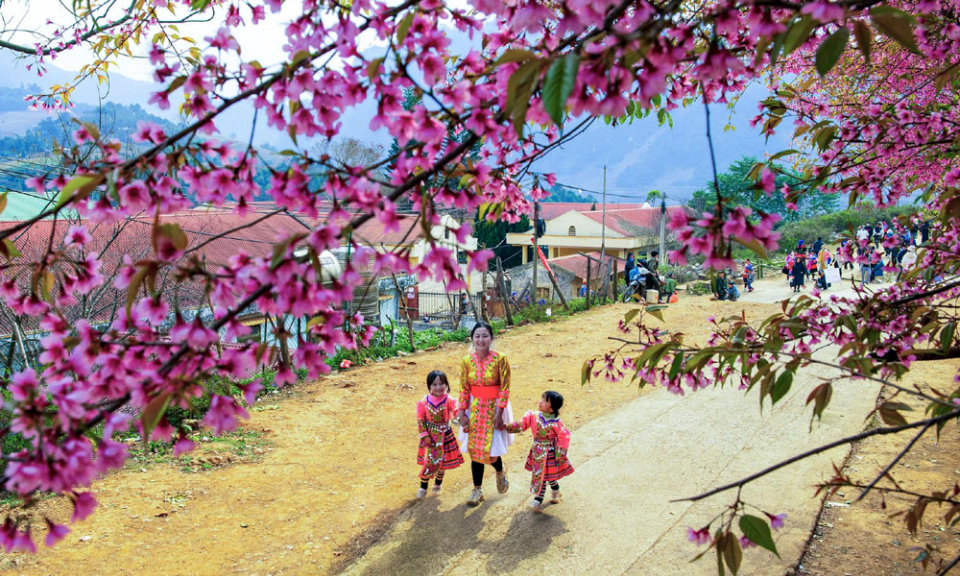 Tết về thoảng hương xứ sở