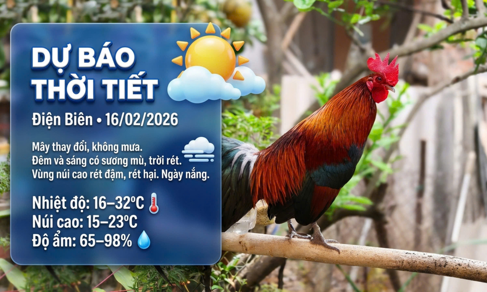 Bản tin Dự b&aacute;o thời tiết ng&agrave;y 16/2/2026