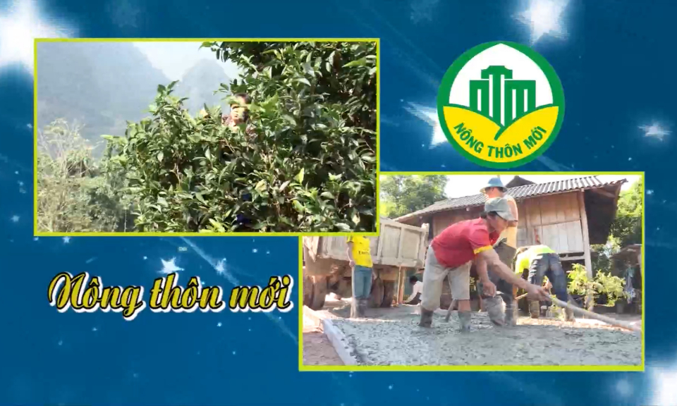 N&ocirc;ng th&ocirc;n mới (Ng&agrave;y 14-2-2026)